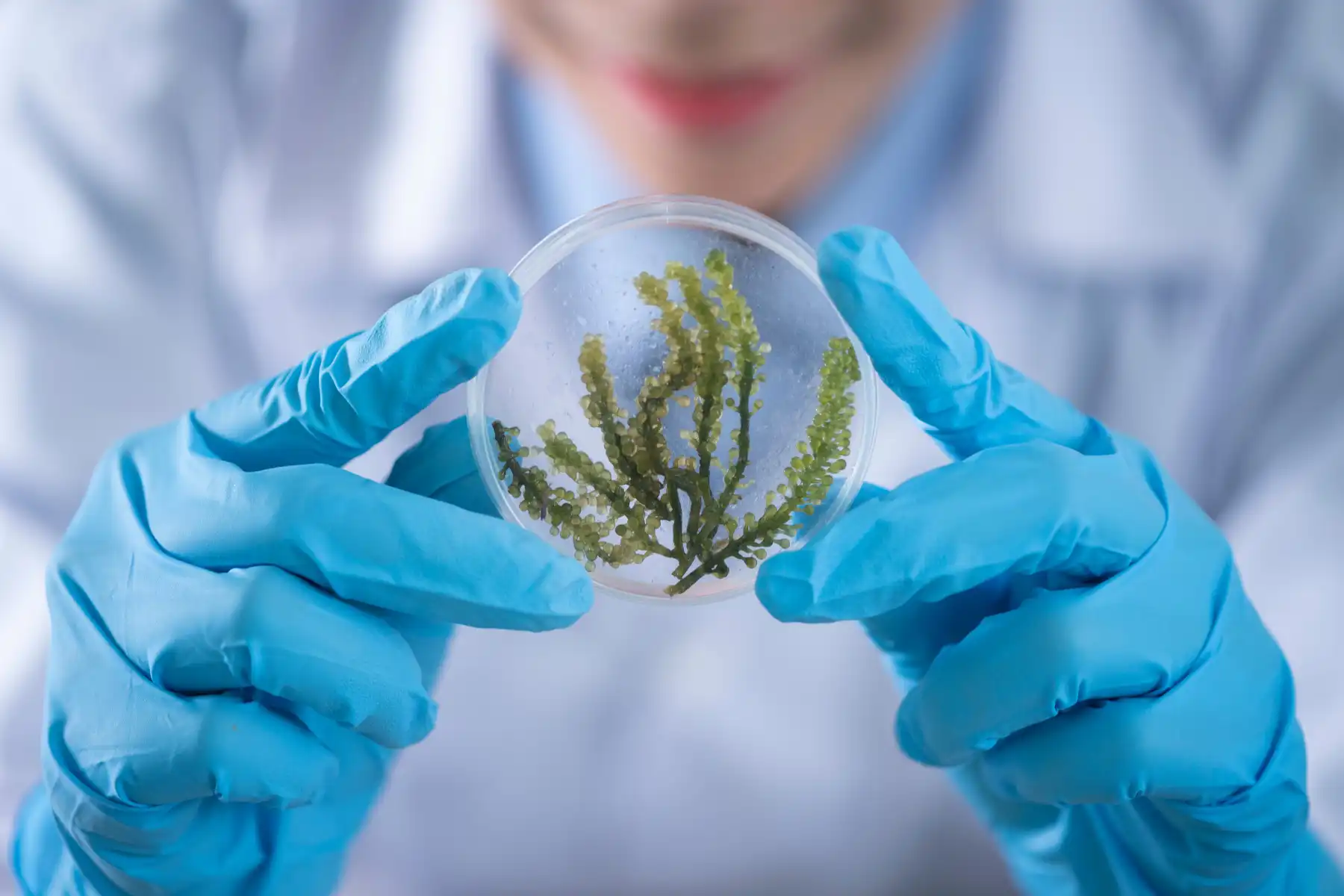 Purezza, trasparenza e sostenibilità_ i pilastri della nostra missione